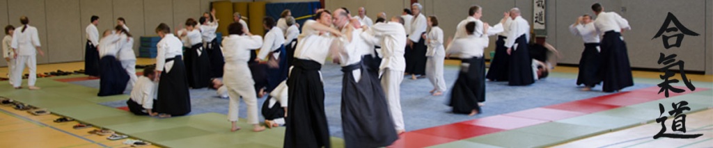 Regelmäßiges Training zahlt sich aus – erfolgreiche Kyu-Prüfungen beim TV Idstein