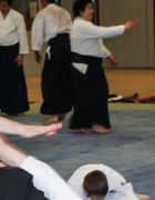 Aikido-Anfängerkurs