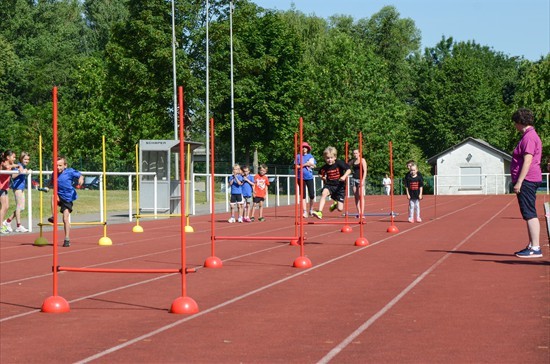 KiLa-Sportfest2015-07