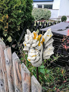 Schutzdrache am Taubenberg